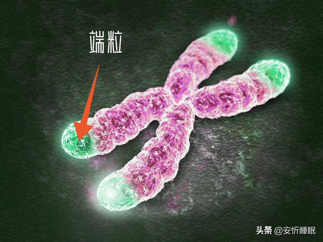 心理(lǐ)咨詢師(shī)_線上(shàng)心理(lǐ)咨詢_心理(lǐ)咨詢